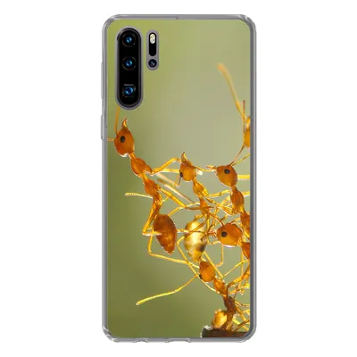 Produktbild von MuchoWow® Handyhülle Schutzhülle Hülle für Huawei P30 Pro Ameisen - Orange - Tiere Silikon Softcase Handy Hülle - Schutzdeckel