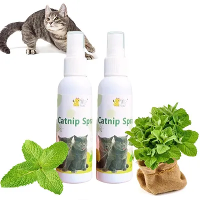 Zdjęcie produktu dla Spray Kattenkruid 100 ml – dla relaksu Twojego kota