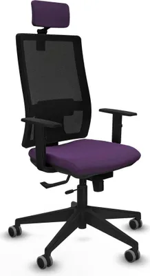 Obrázok produktu pre Kancelárske kreslo s opierkou hlavy Horna Traslack Piqueras y Crespo 1D066G2