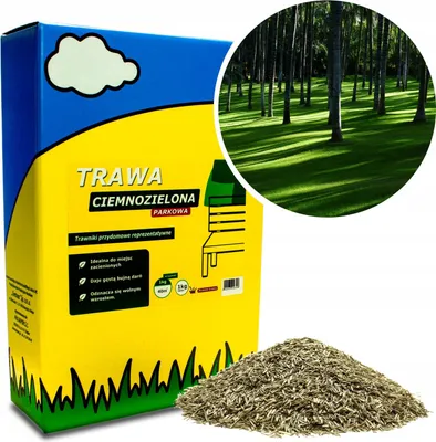 Produktbild von Grassamen Park für schattige Plätze, resistent gegen Sonnenmangel, 1Kg, 40m²