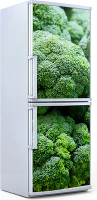 Produktbild von Kühlschrankdekoration 70x180 cm Aufkleber auf dem Kühlschrank - Frischer Brokkoli Gemüse
