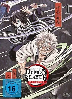 Produktbild von Demon Slayer: Kimetsu no Yaiba Hashira Training Arc - Vol.1 - [DVD]