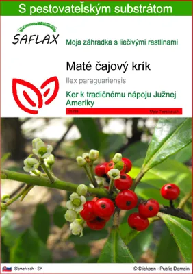 Obrázok produktu pre SAFLAX - Maté čajový krík - Ilex paraguariensis - 10 Semená - S pestovateľským substrátom bez klíčkov