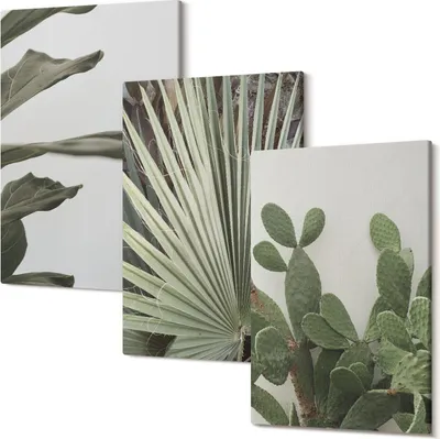 Produktbild von Wandbild – Leinwandbild – Leinwandbilder – Polycanvas – Kunstdruck – Modern – Panorama – Mehrteilig – 3-Teilig Set – Hochwertig – Lichtecht – Geruchslos – 20x30 Cm Je Element - Blätter tropischer Pflanzen in Pastellfarben