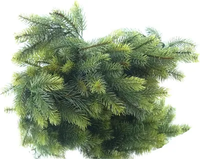 Produktbild von Weihnachtsgirlande Tanne Grün 180 cm - Kunstpflanzen
