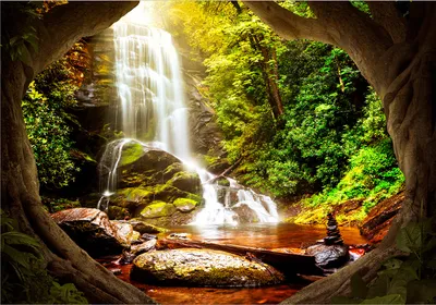 Produktbild von Vlies Fototapete Wasserfall 450x315 cm Tapeten Wandtapete XXL Landschaft Natur Wald c-C-0450-a-a