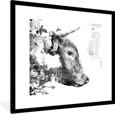 Produktbild von MuchoWow® Gerahmtes Poster Scottish Highlander - Zeitung - Schwarz - Weiß 40x40 cm - Poster mit Schwarzem Bilderrahmen Wandposter Rahmen Foto Bilder - Poster - Plakat im Rahmen