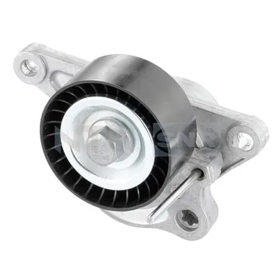 Produktbild von SNR GA355.31 Spannrolle Keilrippenriemen für NISSAN Qashqai / Qashqai +2 I (J10, NJ10) für RENAULT MASTER III Kasten (FV) MEGANE III Grandtour (KZ0/1)