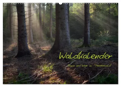 Produktbild von Waldkalender (Wandkalender 2027 DIN A2 quer), CALVENDO Monatskalender