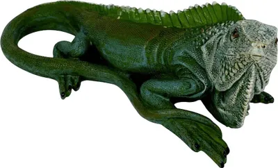 Produktbild von Dekofigur Leguan sitzend 21 x 9 cm grün