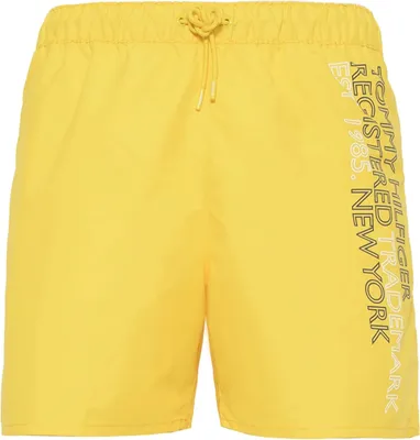Produktbild von Shorts Tommy Hilfiger UM0UM02742ZGS für Herren