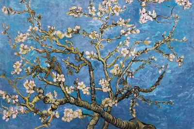 Produktbild von Vincent Van Gogh Kunstdruck Bild - Blühende Mandelbaumzweige, 1890 (80 x 120 cm)