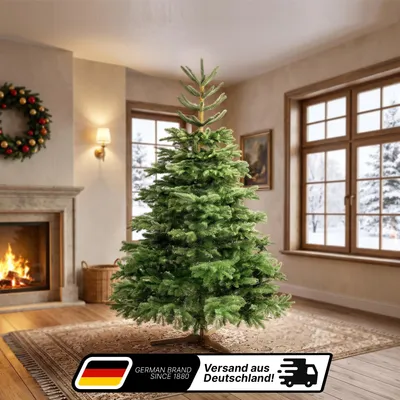 Produktbild von Lindenstein Künstlicher Weihnachtsbaum 200 cm – Premium Tannenbaum mit naturgetreuen PE-Spitzen und dichtem Nadelkleid