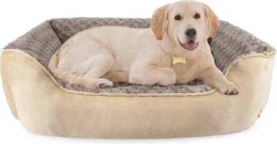 Image de Tapis pour chien lavable XL beige antidérapant