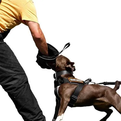 Obrázek produktu pro Mini nylonová tréninková pomůcka Famanu s rukojetí a protiskluzovou úpravou pro psí sport IGP K9 – černá – úroveň kousání 1 – pro začátečníky