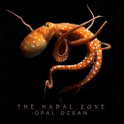 Productafbeelding van De Hadale Zone
