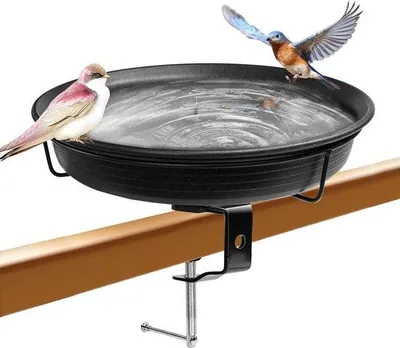 Produktbild von Famanu Vogelbad für Balkonleisten - hängend, mit Futterspender