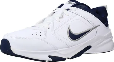 Obrázok produktu pre Nike Obuv Defyallday, DJ1196100