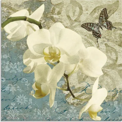 Produktbild von ARTland Wandbild Alu für Innen & Outdoor Orchideen Größe: 40x40 cm