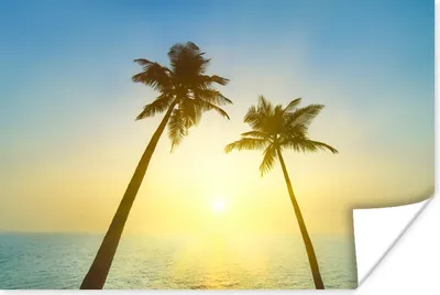 Produktbild von MuchoWow® Poster Strand - Sonnenuntergang - Palmen 180x120 cm - Fotoplakat