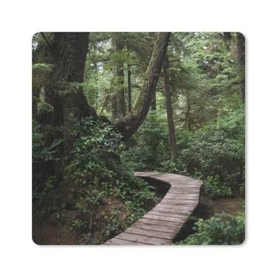 Produktbild von MuchoWow® Mauspad Mousepad Holzbrücke in den moosbewachsenen Wäldern Costa Ricas 20x20 cm - Mousepads - Maus Mat - Pad - Mausunterlage - Desk Mat - Bureauartikeln