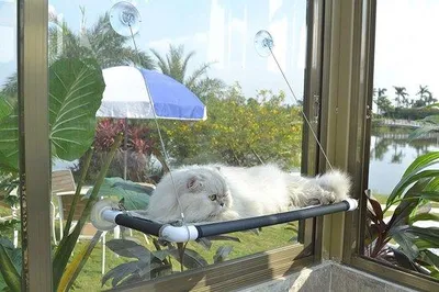 Produktbild von Famanu Katzenhängematte für Fenster, Katzenliege mit Saugnäpfen, Liegeplatz für große Katzen - bis 30 kg