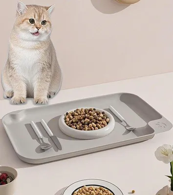 Produktbild von Ibenzoa® rutschfeste, 100% wasserdichte Futtermatte für Hunde & Katzen – lebensmittelecht, 57,5 x 35,5 cm, 3,3 cm Rand, spülmaschinenfest, BPA-/PVC-/