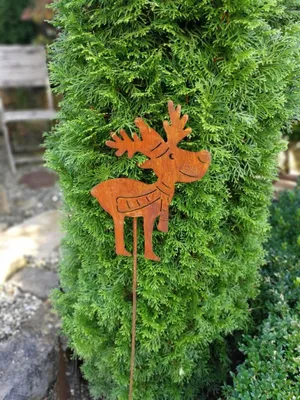 Produktbild von Edelrost Gartenstecker Elch mit Schal