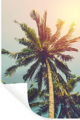 Produktbild von MuchoWow® Wandtattoo Wandsticker Wandaufkleber Palme - Sommer - Tropisch - Sonne 20x30 cm Selbstklebend und Repositionierbar - Sticker - Dekorfolie