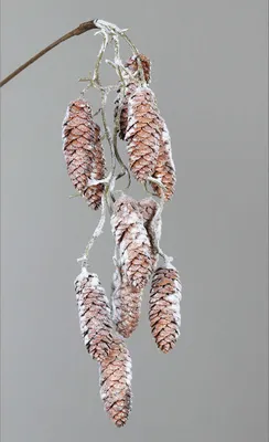 Produktbild von Kunstblume Zapfen Hänger mit Schnee 54 cm