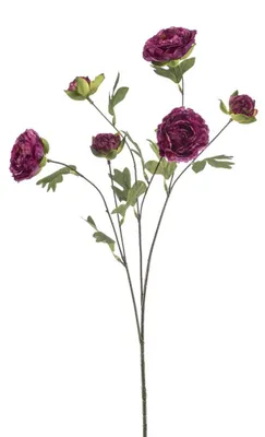 Produktbild von Warentuin Produkt