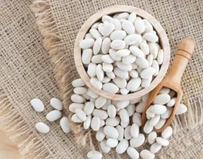 Produktbild von 20 kg weiße Bohnen trockene Hülsenfrüchte Fasulye feinste Qualität