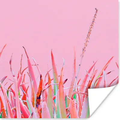 Produktbild von MuchoWow® Poster Sommer - Pflanzen - Pastell 75x75 cm - Wand Dekoration