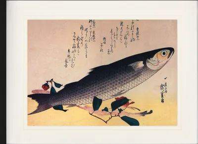 Produktbild von Utagawa Hiroshige Gerahmtes Bild Mit Edlem Passepartout | Wand-Bilder | Im Bilderrahmen - Graubarbe Und Kamelie, 1834-35 (60 x 80 cm)