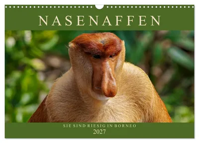 Produktbild von Nasenaffen von Borneo (Wandkalender 2027 DIN A3 quer), CALVENDO Monatskalender