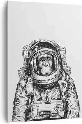 Produktbild von Bild auf Leinwand - Leinwandbild - Einteilig - Schimpanse Astronaut Zeichnung - 70x100cm - Wand Bild - Wandbilder - Leinwanddruck - Wanddekoration - Leinwand bilder - Wandbild - PA70x100-4312
