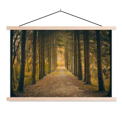 Produktbild von MuchoWow® Textilposter Pfad - Bäume - Wald 120x80 cm mit holzfarbenen Rahmen - Aufhängeset