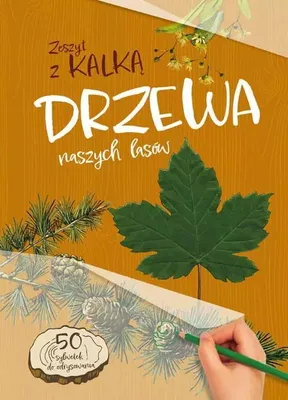 Produktbild von Drzewa Naszych Lasów. Zeszyt dla dzieci wyd. 2025