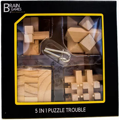 Immagine prodotto di Giochi per la mente Puzzle 5 in 1