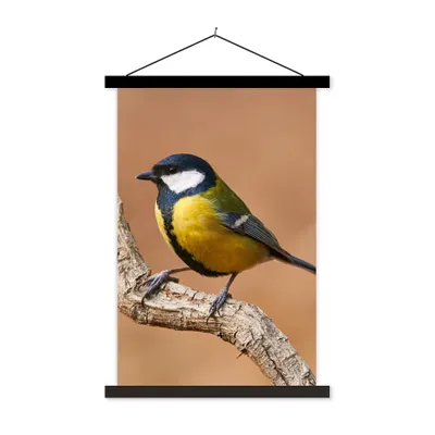 Produktbild von MuchoWow® Textilposter Vogel - Kohlmeise - Zweige 40x60 cm mit schwarzem Rahmen - Wanddekorationen