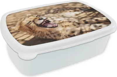 Obrázek produktu pro KitchenYeah® Lunchbox Obědový box 17x11 cm Gepard - zvíře - detailní dětský box na oběd - box na oběd - děti - sendvičový box - školní box - boxy na oběd