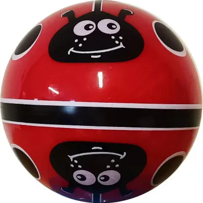 Produktbild von Großhandel GmbH - Ware Outdoor active Buntball ''Marienkäfer'', 5,5 Zoll Sonstige