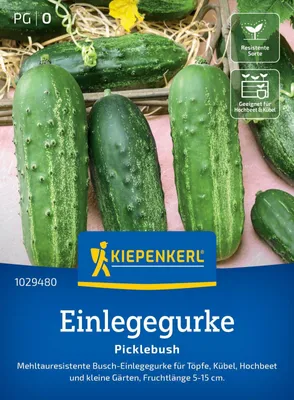 Produktbild von Kiepenkerl Einlegegurkensamen Picklebush Cucumis sativus 7 Pflanzen