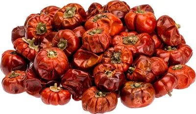 Produktbild von Solanum mini, verpackt im Beutel mit 250g | Solanum aethiopicum
