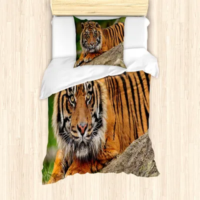 Produktbild von ABAKUHAUS Tiger Mantele, Crouching Tiger auf Felsen, Milbensicher Allergiker geeignet mit Kissenbezügen, 135 cm x 200 cm - 80 x 80 cm, Mehrfarbig