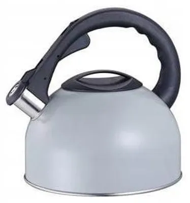 Image de Epewex Bouilloire Traditionnelle Inox 3L Gris Clair