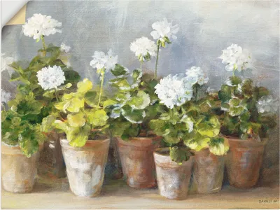 Produktbild von ARTland Wandbild, selbstklebend Weiße Geranien Größe: 120x90 cm