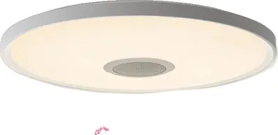 Produktbild von Deckenleuchte, Smarte Steuerung, Eingebauter Lautsprecher, 46cm