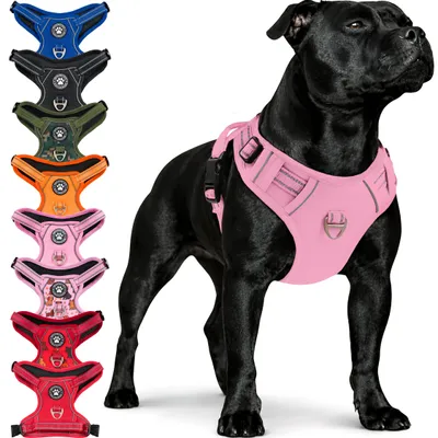 Produktbild von Reichstadt  RS Pets Hundegeschirr 25RSP083 Pink XS