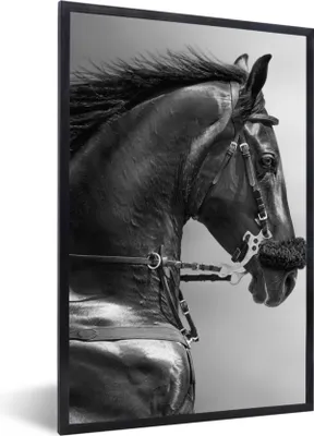 Produktbild von MuchoWow® Gerahmtes Poster Pferde - Schwarz - Porträt - Tiere 60x90 cm - Poster mit Schwarzem Bilderrahmen Wandposter Rahmen Foto Bilder - Kunst